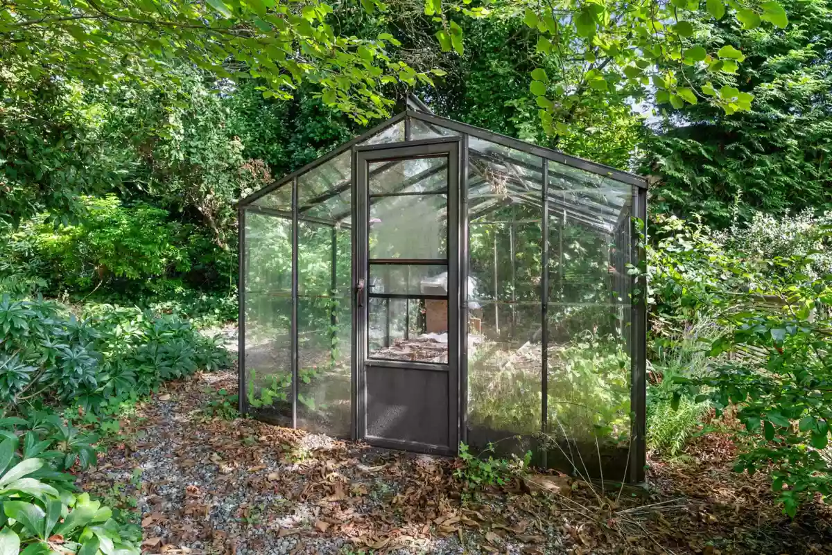 Backyard Photo of 5588 Olympic Street, Vancouver, BC