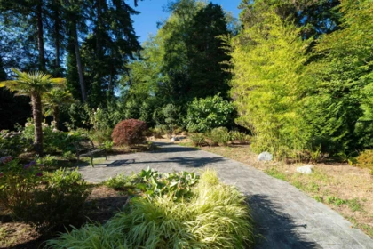 Aerial View of 920 3rd Street, West Vancouver, BC