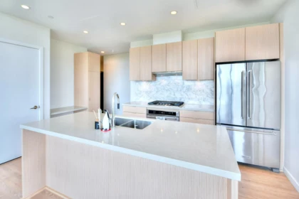 2802 530 Whiting Way, Coquitlam, BC