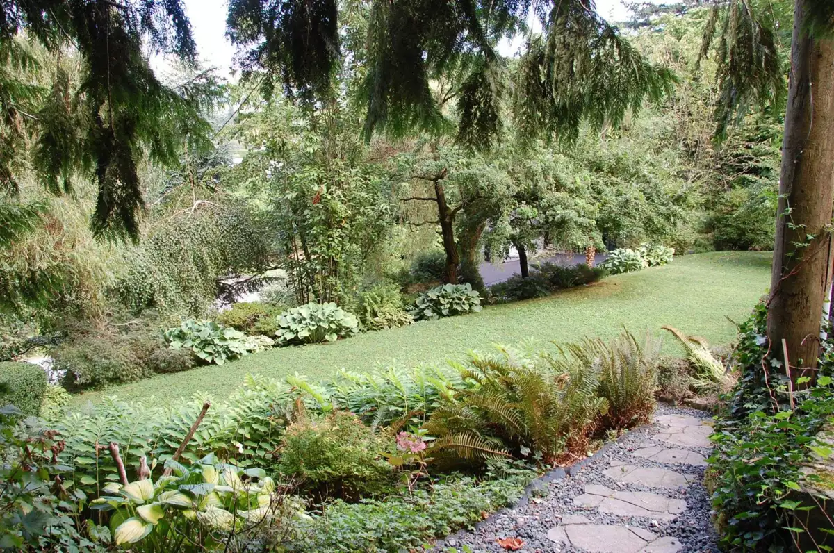 Playground / Recreational Area Near 42602 Majuba Hill Road, Yarrow, BC
