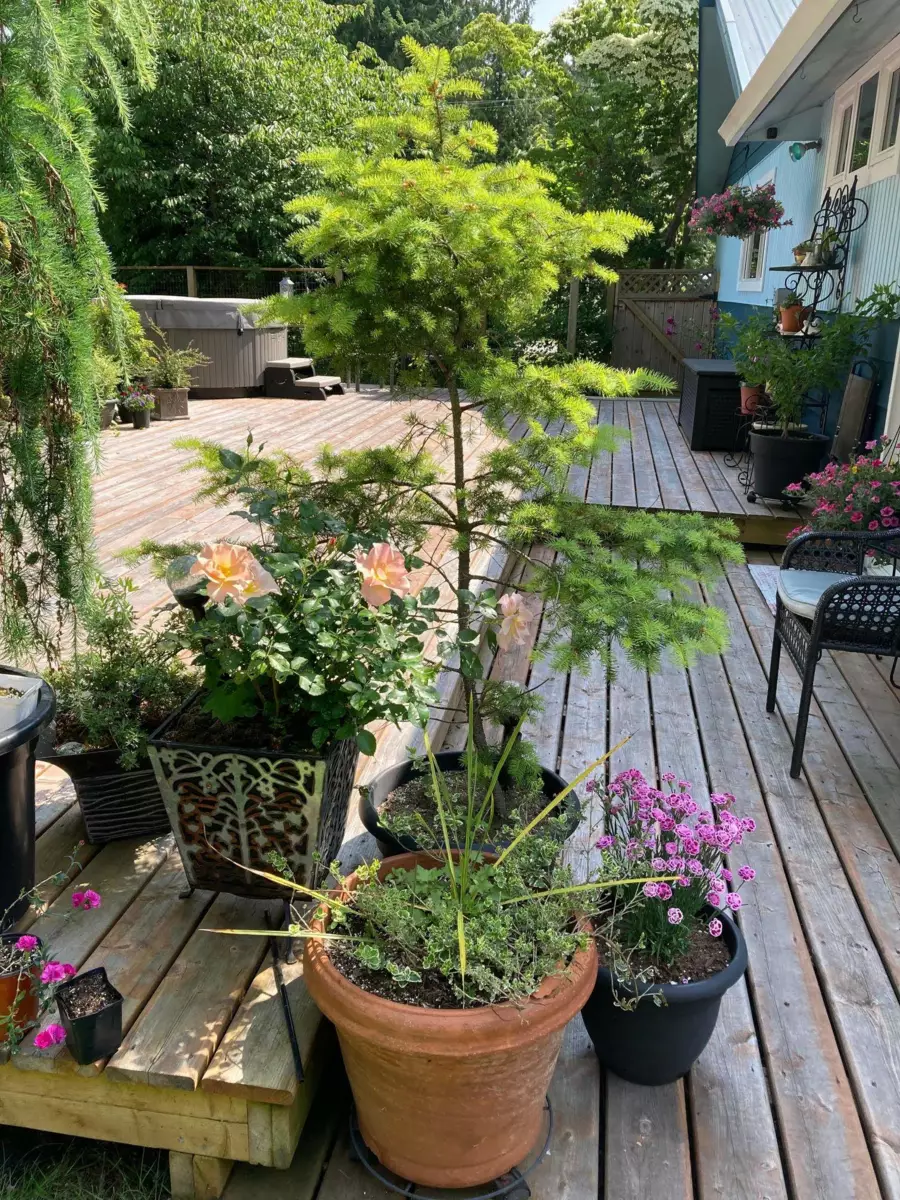 Front Yard Photo of 4569 Francis Peninsula Road, Madeira Park, BC