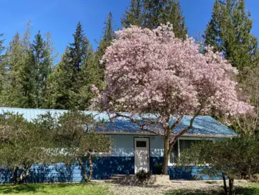 4569 Francis Peninsula Road, Madeira Park, BC, Pender Harbour Egmont — 3 bed single family residence for sale