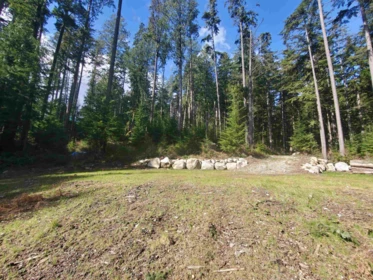 Laundry Room Photo of Lot 4 Williams Landing, Pitt Meadows, BC