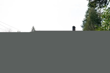 12380 96 Avenue, Surrey, BC, Surrey — Single Family Residence for sale