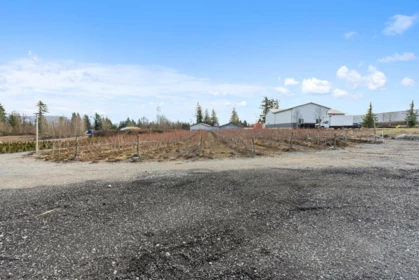Aerial View of 29852 Maclure Road, Abbotsford, BC