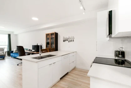 Kitchen Photo of 208 11913 Burnett Street, Maple Ridge, BC