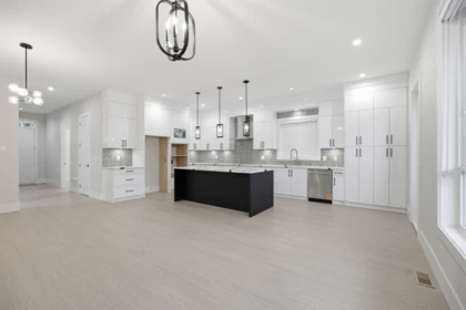 17156 1 Avenue, Surrey, BC, Surrey — Single Family Residence for sale