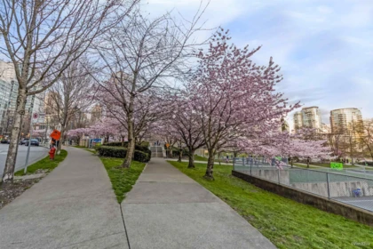 Fitness Center Photo Near 606 455 Beach Crescent, Vancouver, BC
