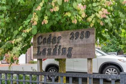6 2950 Lefeuvre Road, Abbotsford, BC, Abbotsford — Townhouse for sale