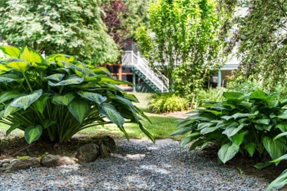 Community Amenities Photo (Clubhouse) of 10303 Royalwood Boulevard, Rosedale, BC