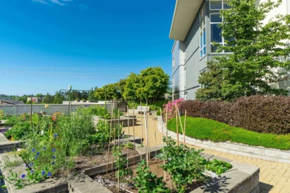Front Yard Photo of 407 15850 26th Avenue, Surrey, BC