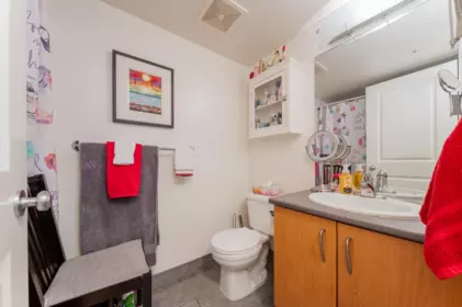 Primary Bathroom Photo of 304 1295 Richards Street, Vancouver, BC