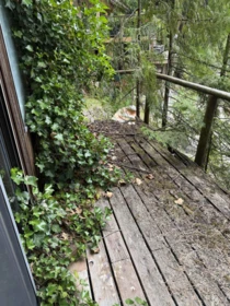 Mudroom Photo of 9 Osprey Creek, Pitt Meadows, BC