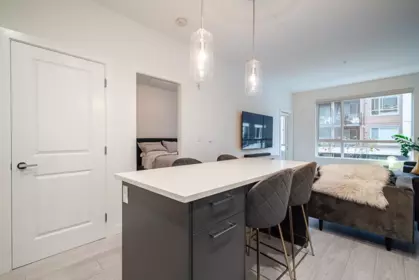 Pantry Photo of B228 20834 80 Avenue, Langley, BC