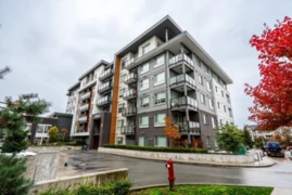 B228 20834 80 Avenue, Langley, BC