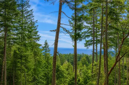 2-861 Bluff Road, Galiano Island, BC, Galiano Island — Land for sale
