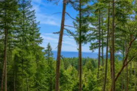 2-861 Bluff Road, Galiano Island, BC