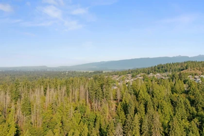 Fitness Center Photo Near 13175 239b Street, Maple Ridge, BC