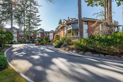 Backyard Photo of 305 15270 17 Avenue, Surrey, BC