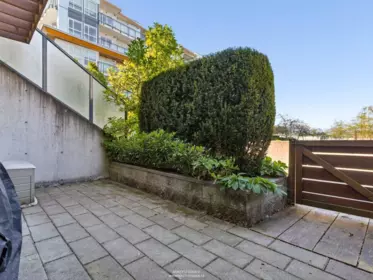 Family Room Photo of 24 10133 River Drive, Richmond, BC