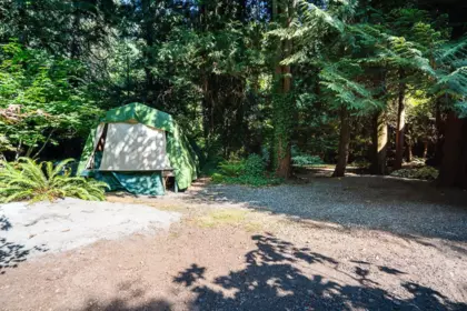 Primary Bedroom Photo of 3530 142a Street, Surrey, BC