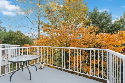 71 20560 66 Avenue, Langley, BC, Langley — Townhouse for sale