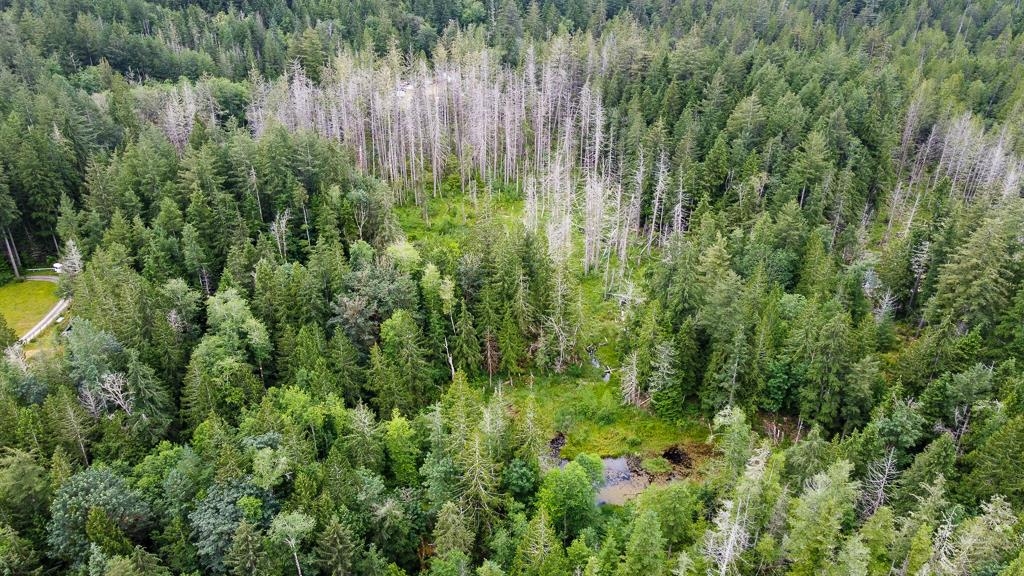 Bedroom 3 Photo of 13611 Barabash Road, Madeira Park, BC