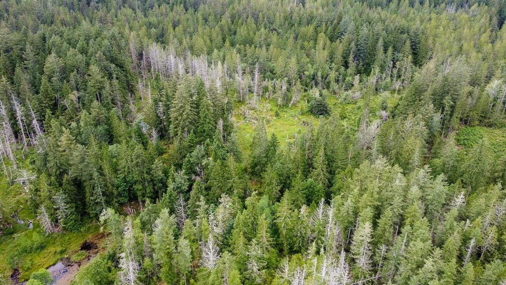 Bedroom 4 Photo of 13611 Barabash Road, Madeira Park, BC
