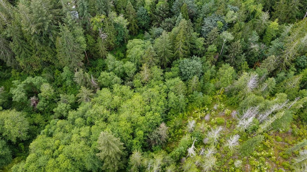 Primary Bathroom Photo of 13611 Barabash Road, Madeira Park, BC