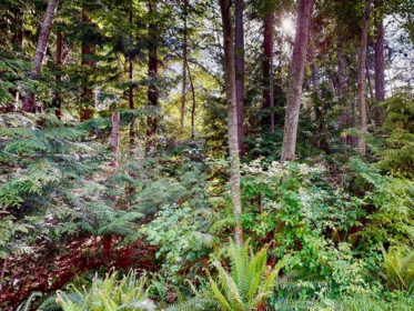 Breakfast Nook Photo of LOT 28 Lee Road, Garden Bay, BC