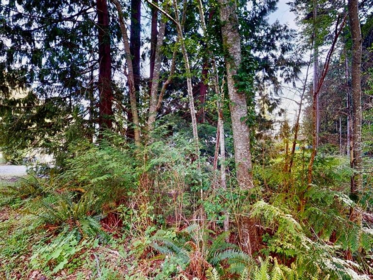 Kitchen Island Photo of LOT 28 Lee Road, Garden Bay, BC