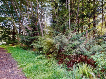 Kitchen Photo of LOT 28 Lee Road, Garden Bay, BC