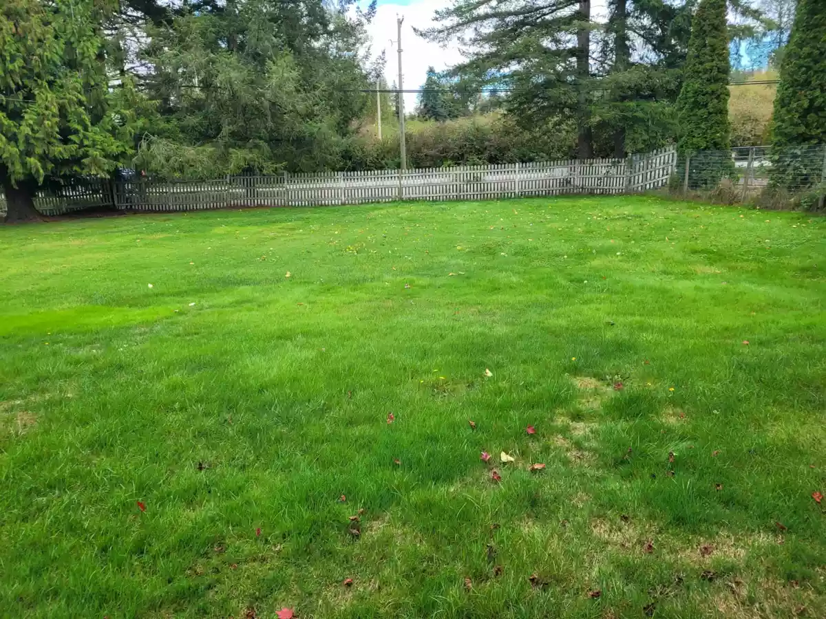 Primary Bedroom Photo of 3561 240 Street, Langley, BC