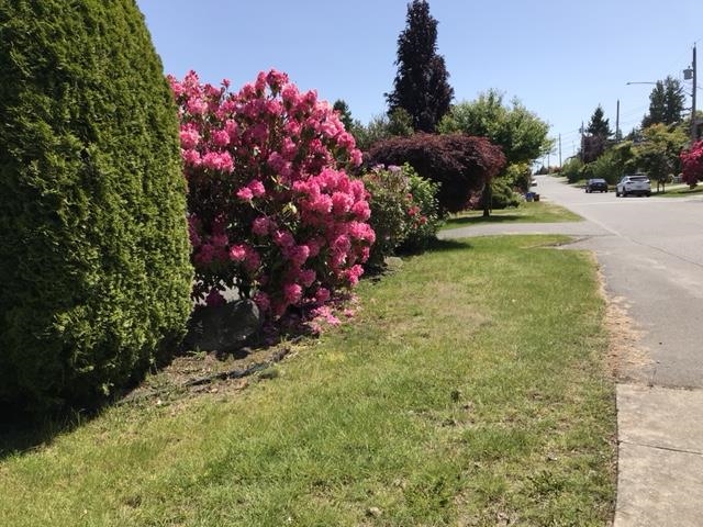 Breakfast Nook Photo of 1388 Lee Street, White Rock, BC