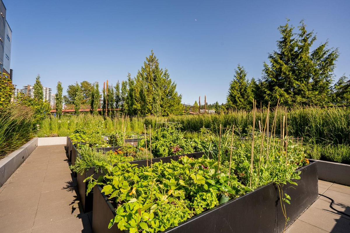 Outdoor Kitchen Photo of 435 55 Klahanie Drive, Port Moody, BC