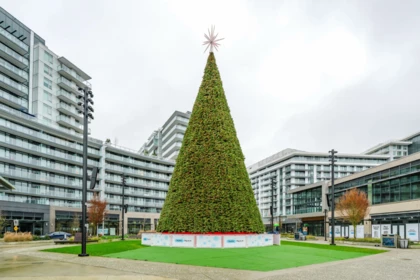 Playground / Recreational Area Near 1010 6611 Minoru Boulevard, Richmond, BC