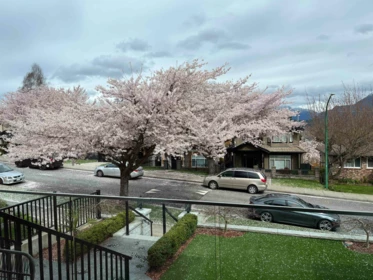 4326 Cambridge Street, Burnaby, BC, Burnaby — Single Family Residence for sale