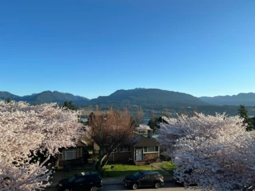4326 Cambridge Street, Burnaby, BC, Burnaby — Single Family Residence for sale