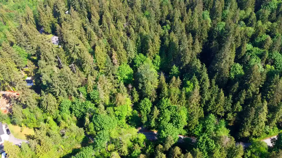 Bedroom 2 Photo of 23287 141 Avenue, Maple Ridge, BC
