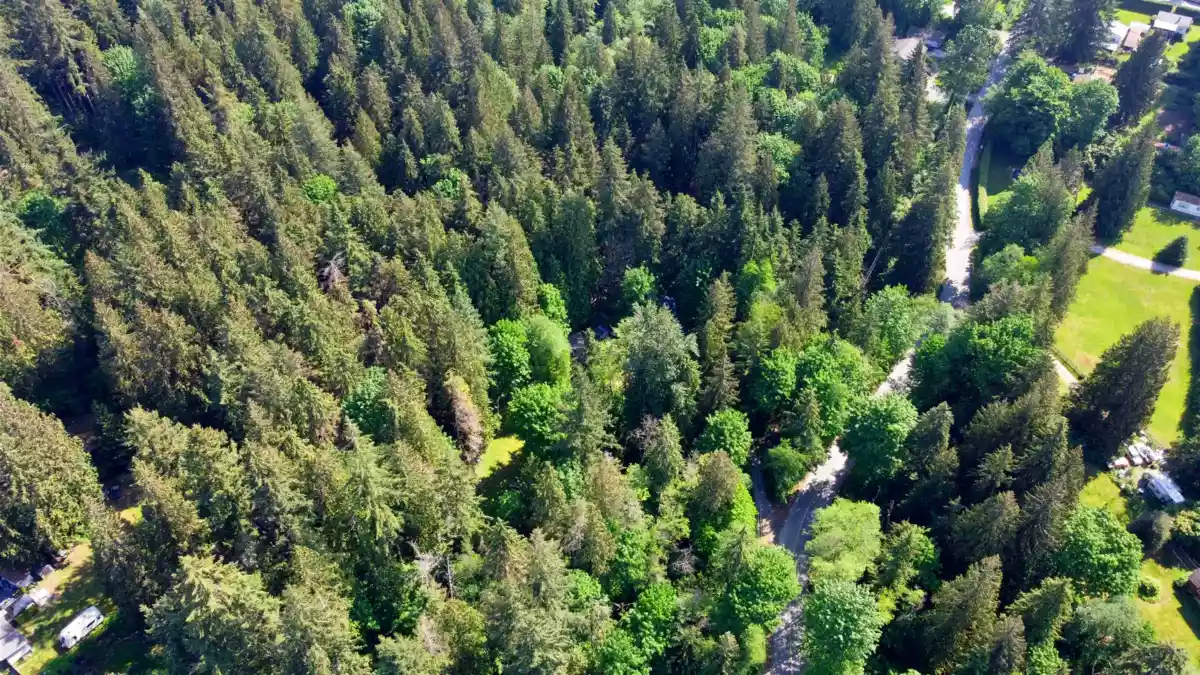 Bedroom 3 Photo of 23287 141 Avenue, Maple Ridge, BC