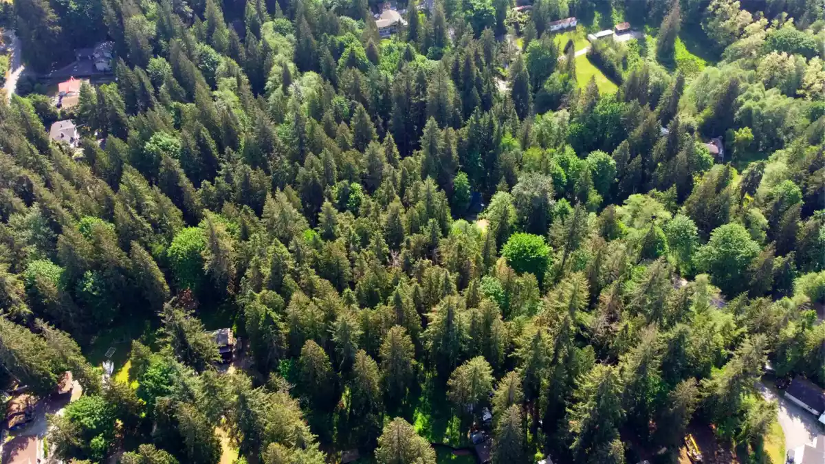 Bedroom 4 Photo of 23287 141 Avenue, Maple Ridge, BC