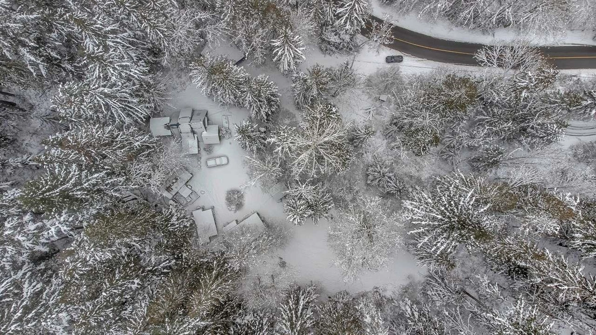 Garden / Landscaping Photo of 23287 141 Avenue, Maple Ridge, BC