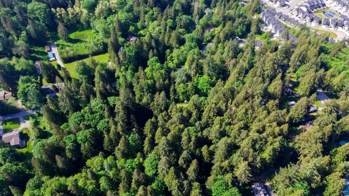 Guest Bathroom Photo of 23287 141 Avenue, Maple Ridge, BC