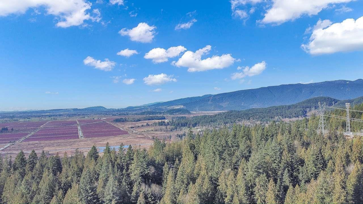 Hallway Photo of 23287 141 Avenue, Maple Ridge, BC