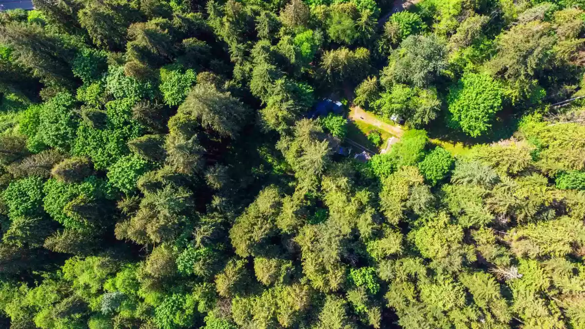 Loft / Bonus Room Photo of 23287 141 Avenue, Maple Ridge, BC