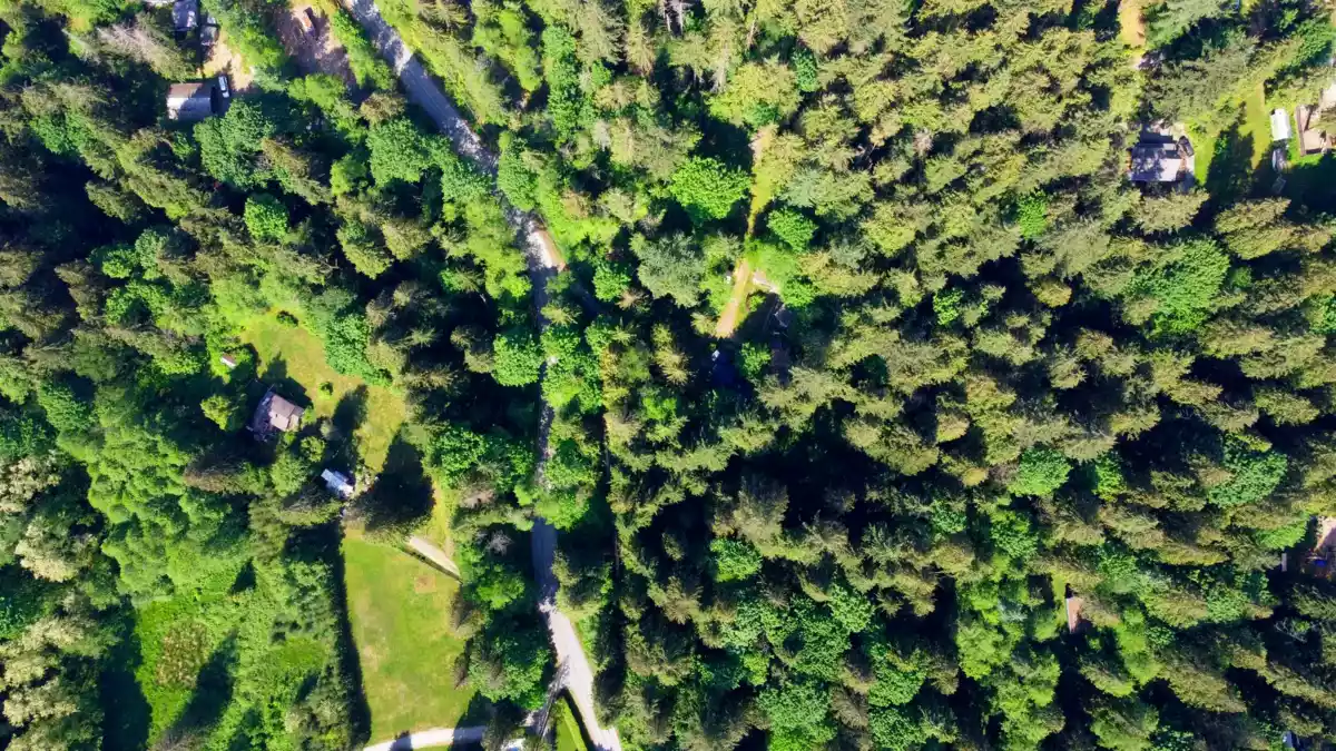 Office / Den Photo of 23287 141 Avenue, Maple Ridge, BC