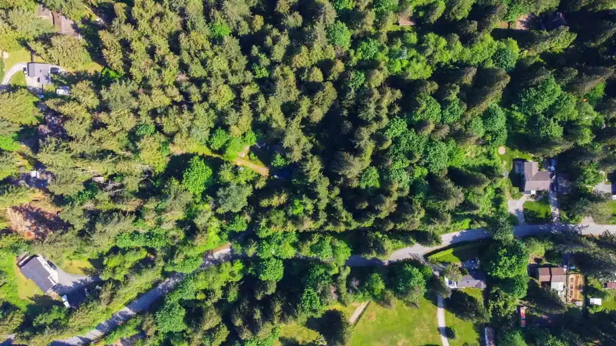 Powder Room Photo of 23287 141 Avenue, Maple Ridge, BC