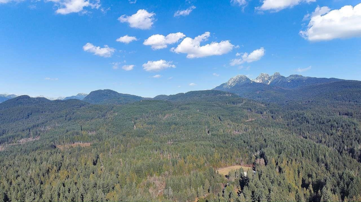 Staircase Photo of 23287 141 Avenue, Maple Ridge, BC