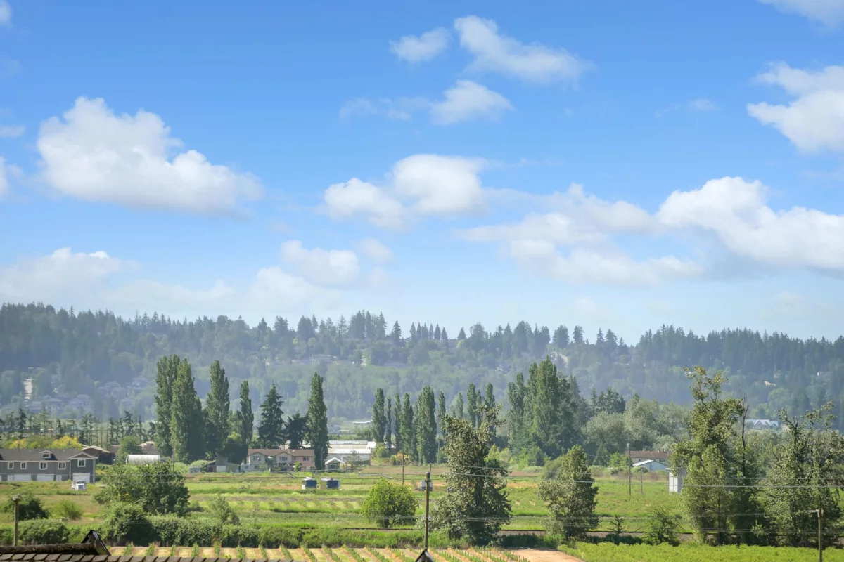 Living Room Photo of 16602 Bell Road, Surrey, BC