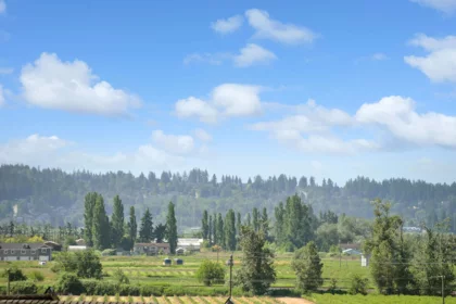 16602 Bell Road, Surrey, BC, Surrey — Single Family Residence for sale